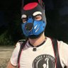 Blue Beagle Pup 》Darklands 的头像