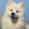 hangover's profile picture
