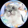 Profilbild von ã¡ããâ