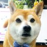 Dataflex_59's profile picture