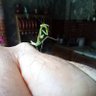 Фото профиля luis valenzuela