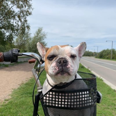 Skram's profile picture