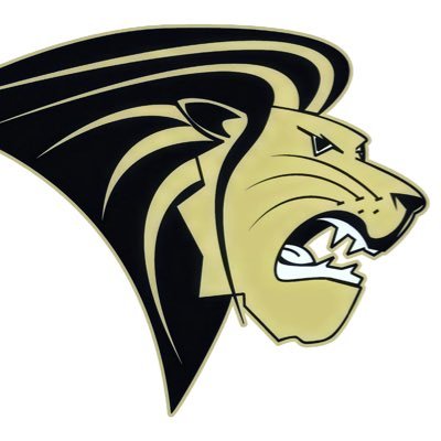 LUMensBball's profile picture