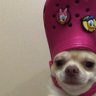 QwekuPos_๐๐ฌ๐ญ's profile picture