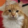 Julz🐝 profil fotoğrafı