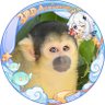 Profilbild von 小噺