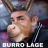 Burro lage ★彡's profile picture