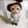 小七's profile picture