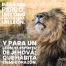 Фото профиля Jorge Burbano