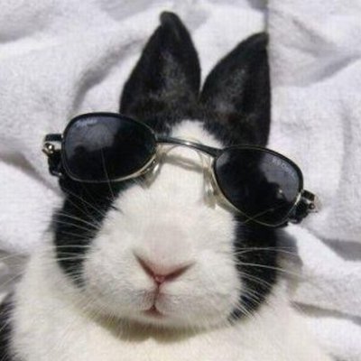 mangoster's profile picture