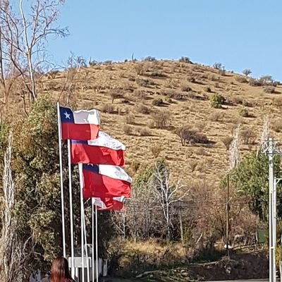 anto jose 💪🇨🇱🇨🇱's profile picture