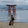 Miyako's profile picture