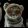 Фото профиля Little Owl and Catnip🌿💱💎