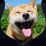 Profilbild von OptiMem