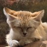 Propaganda's profile picture