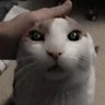 tres's profile picture