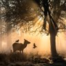 Alberto Sanchez profil fotoğrafı