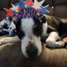 Cindy's profile picture