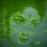 Name cannot be blank 的头像