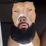 Profilbild von Hawk