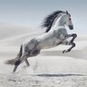 Фото профиля Duke of Stallion