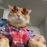 Carlos 2084 profil fotoğrafı