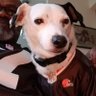 Elliott W. Robinson's profile picture