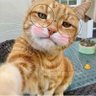 Muhammad Luthfi Ridho's profile picture