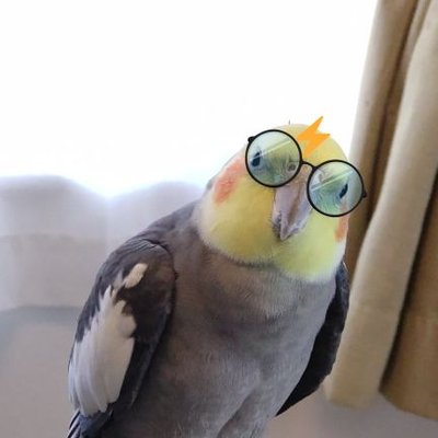 hinatabokko1120's profile picture