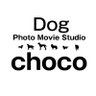 犬の動画写真館チョコ's profile picture