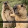 Lyudo profil fotoğrafı