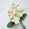 Фото профиля Wafa