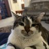 Emarie06121010's profile picture