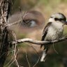 WickedWildNWise profil fotoğrafı