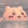 lan's profile picture