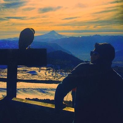 Ehsan AriaN 🇮🇷's profile picture