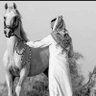 ‏عــآبّـــــــر ًسًـــبّـــــيــــــّــلَ's profile picture