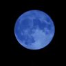 Profilbild von Bluemoon