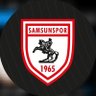 Samsunspor 💂🏼♂️'s profile picture