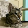 Фото профиля charliexrvp