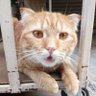 Фото профиля JDCAT😻😻