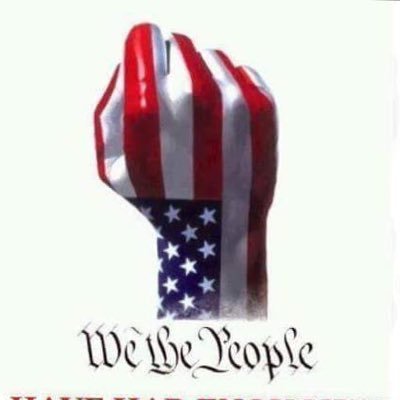 Spike Schweska 🇺🇸's profile picture