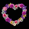 Alsayed Alatar's profile picture