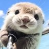 Profilbild von 神さま