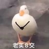 嘿嘿 的头像