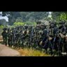 Programme Patriote 2.0 🇨🇩 profil fotoğrafı