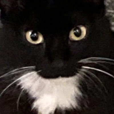 XH00_00's profile picture