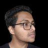 Koushik P's profile picture