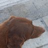ΑΘΑΝΆΣΙΟΣ ΡΙΖΟΣ profil fotoğrafı