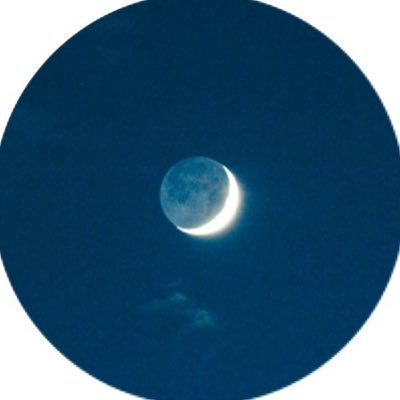 𝐈𝐎𝐑's profile picture